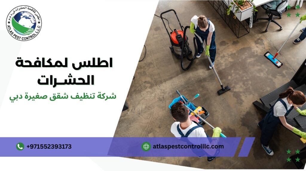 كيفية تجنب أخطاء شركة تنظيف شقق صغيرة دبي