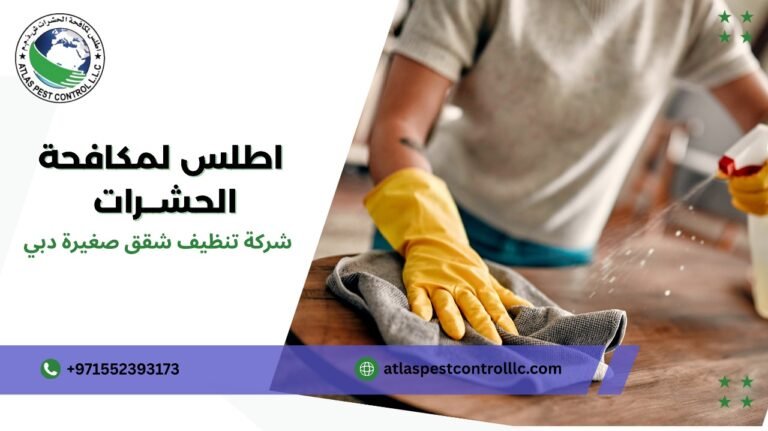 كيفية تجنب أخطاء شركة تنظيف شقق صغيرة دبي