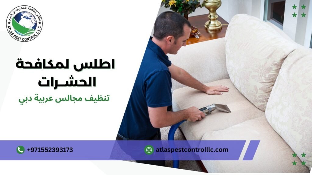 كيفية تجنب أخطاء تنظيف مجالس عربية دبي