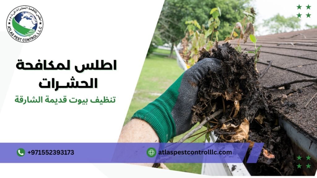 مميزات تنظيف بيوت قديمة الشارقة