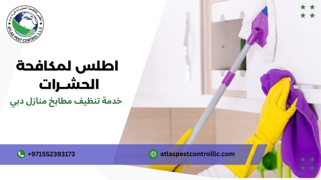 مزايا خدمة تنظيف مطابخ منازل دبي