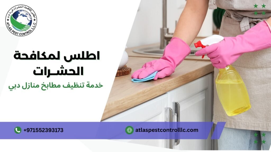 خطوات خدمة تنظيف مطابخ منازل دبي