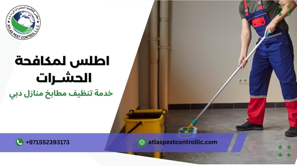 أفضل طرق خدمة تنظيف مطابخ منازل دبي