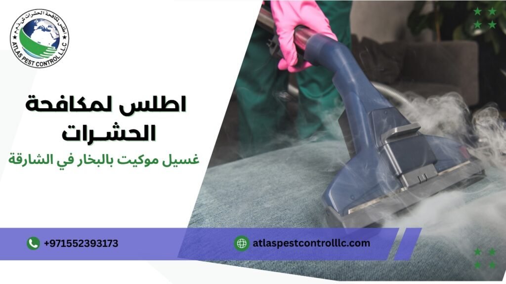 دليل شامل لغسيل موكيت بالبخار في الشارقة