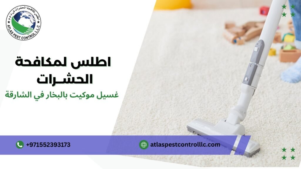 كيفية تجنب أخطاء غسيل موكيت بالبخار في الشارقة