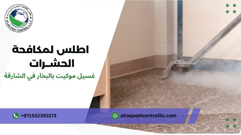 تجهيز الأدوات الصحيحة لغسيل موكيت بالبخار في الشارقة