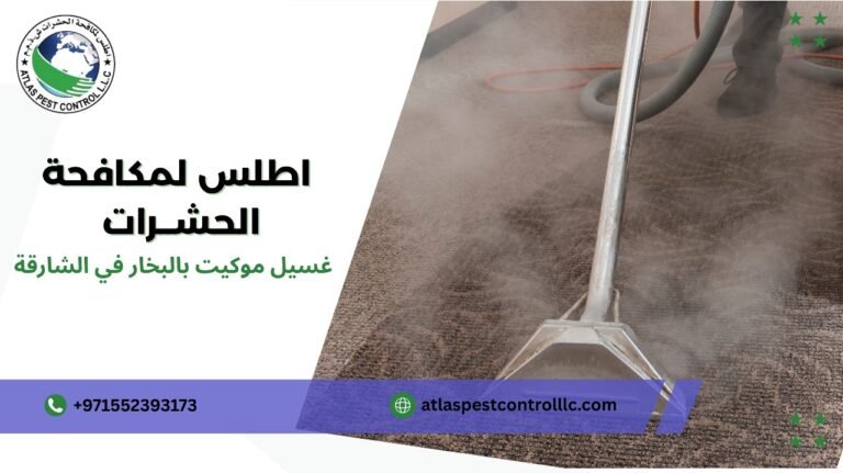 غسيل موكيت بالبخار في الشارقة