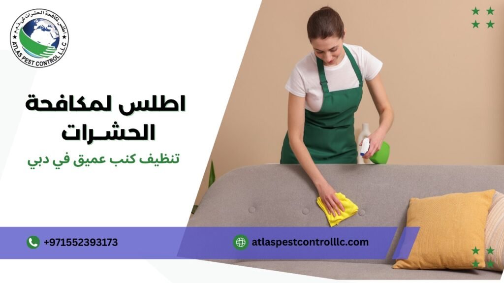 خطوات تنظيف كنب عميق في دبي