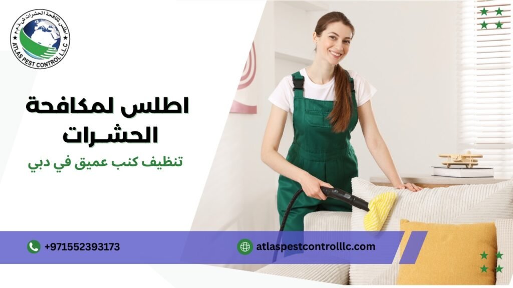 نصائح تنظيف كنب عميق في دبي