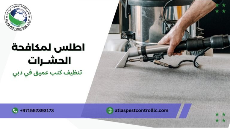 تنظيف كنب عميق في دبي