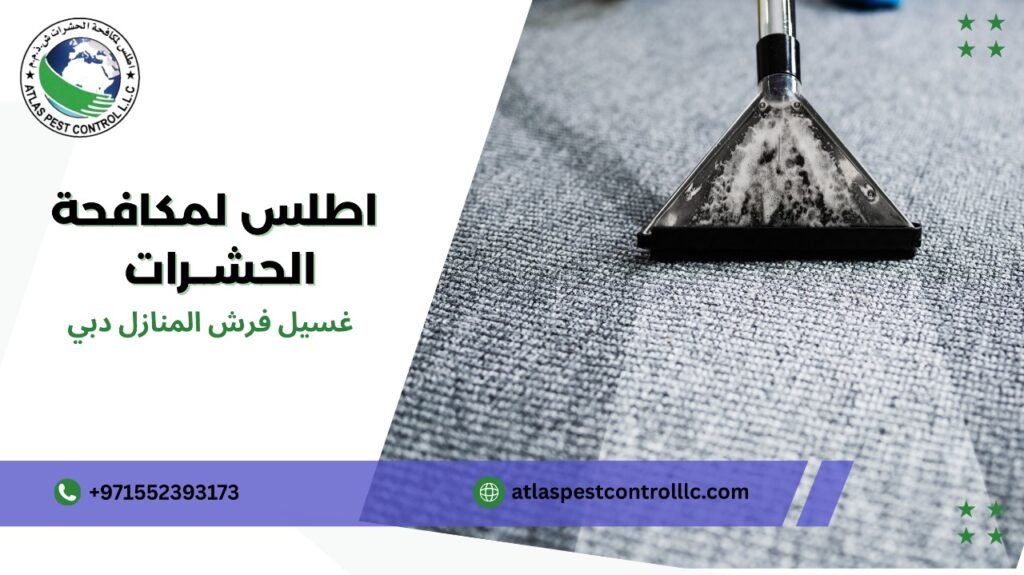 كيفية تجنب أخطاء غسيل فرش المنازل دبي