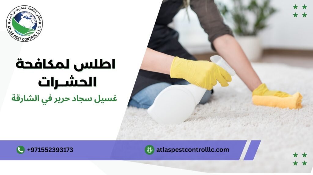 غسيل سجاد حرير في الشارقة