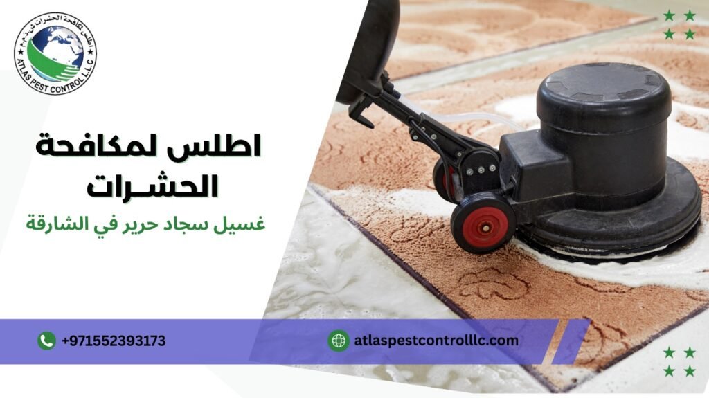 مزايا غسيل سجاد حرير في الشارقة