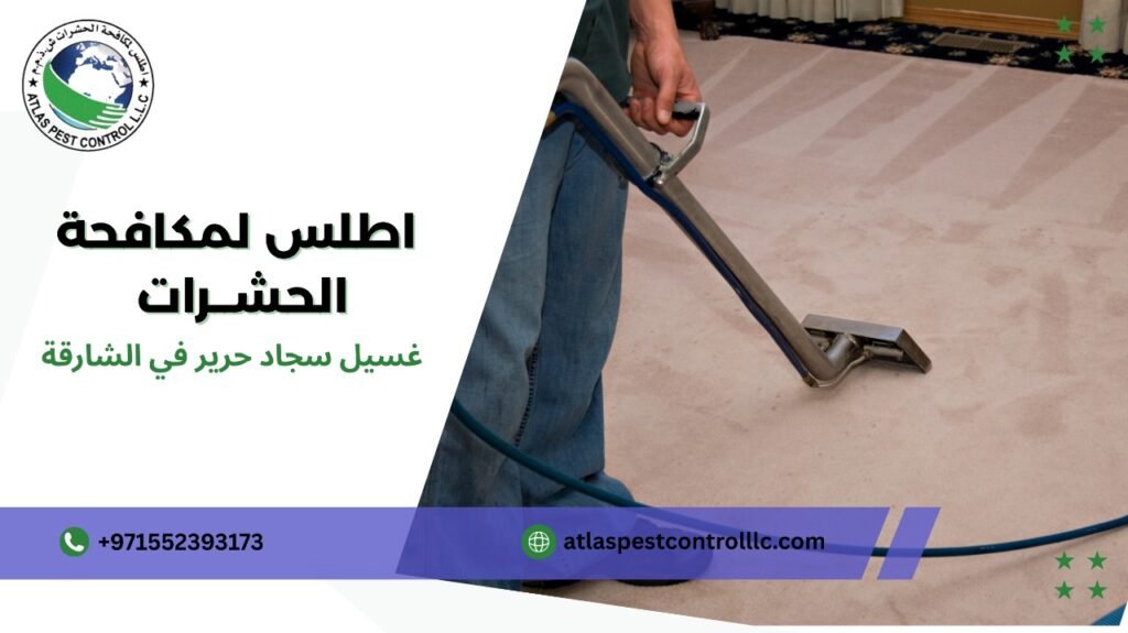 كيفية تجنب أخطاء غسيل سجاد حرير في الشارقة