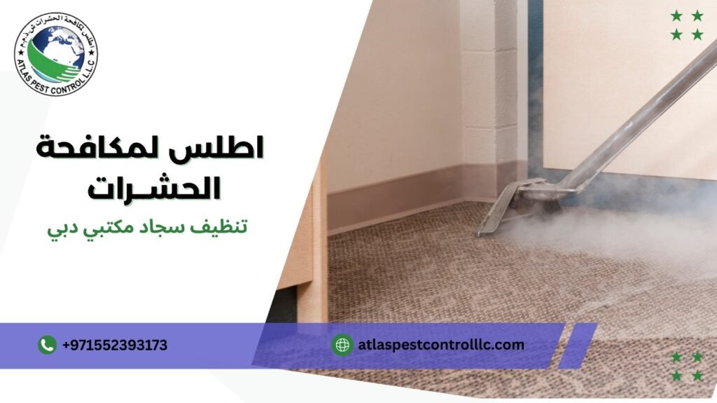 نصائح تنظيف سجاد مكتبي دبي