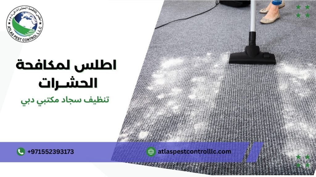 كيفية تجنب أخطاء تنظيف سجاد مكتبي دبي