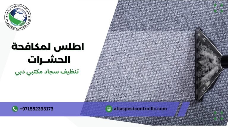 تنظيف سجاد مكتبي دبي