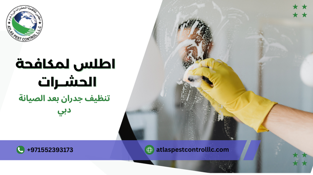 أفضل تنظيف جدران بعد الصيانة دبي