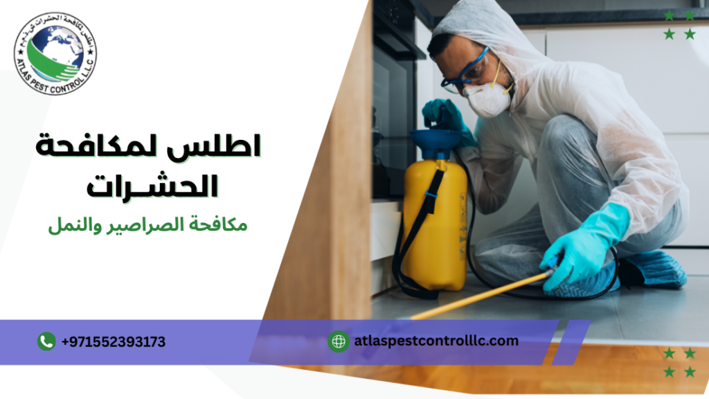 طرق مكافحة الصراصير والنمل