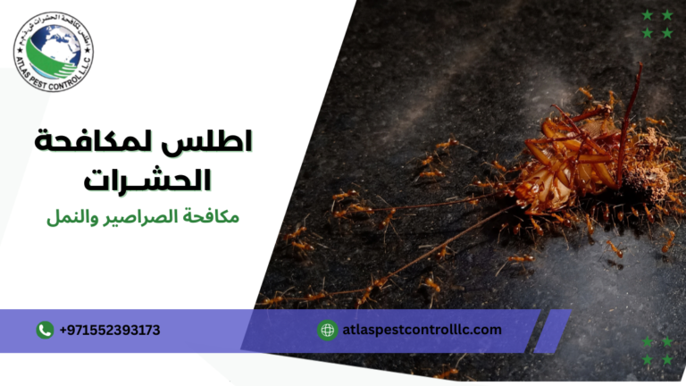 مكافحة الصراصير والنمل