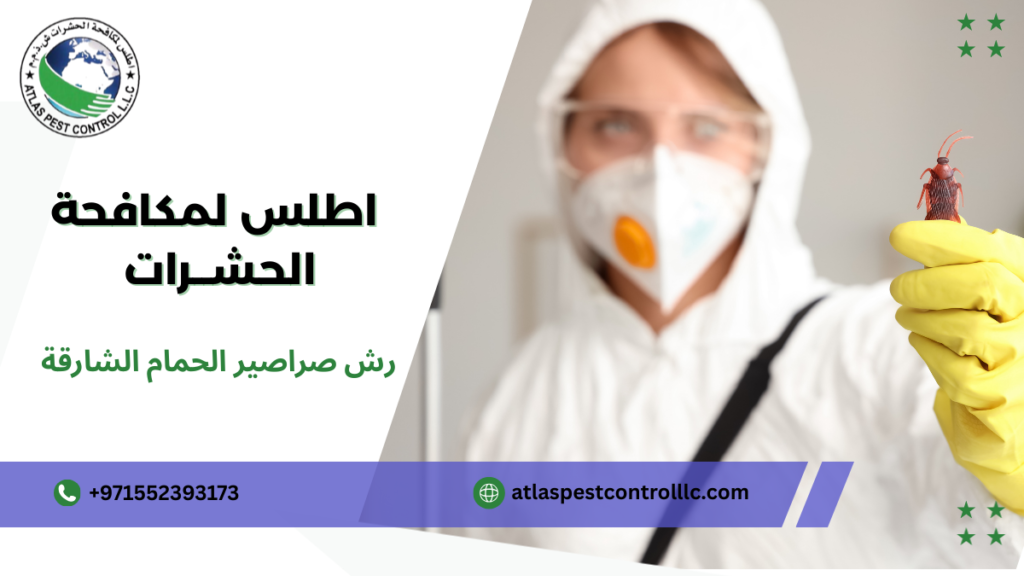 رش صراصير الحمام الشارقة