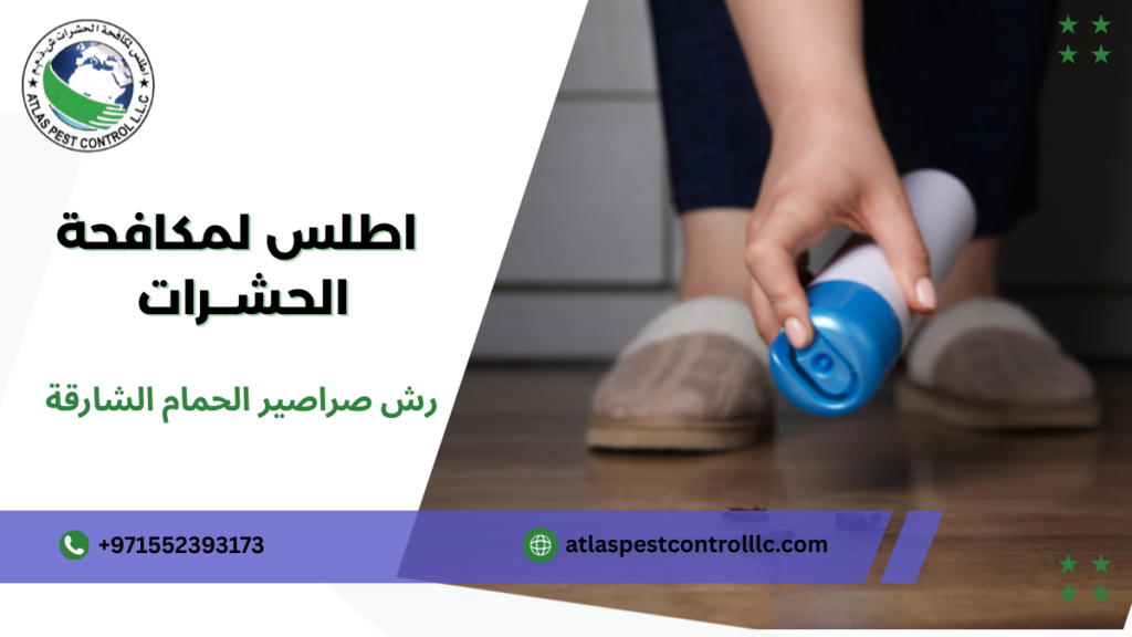 خطوات رش صراصير الحمام الشارقة
