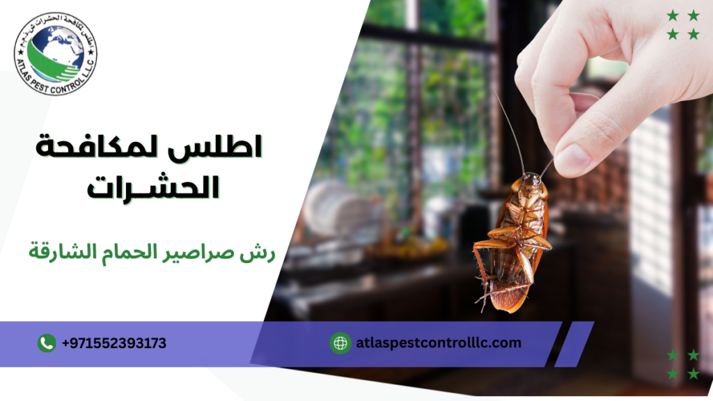 أخطاء شائعة عند رش صراصير الحمام الشارقة