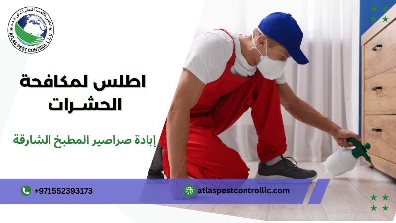 استراتيجيات إبادة صراصير المطبخ الشارقة