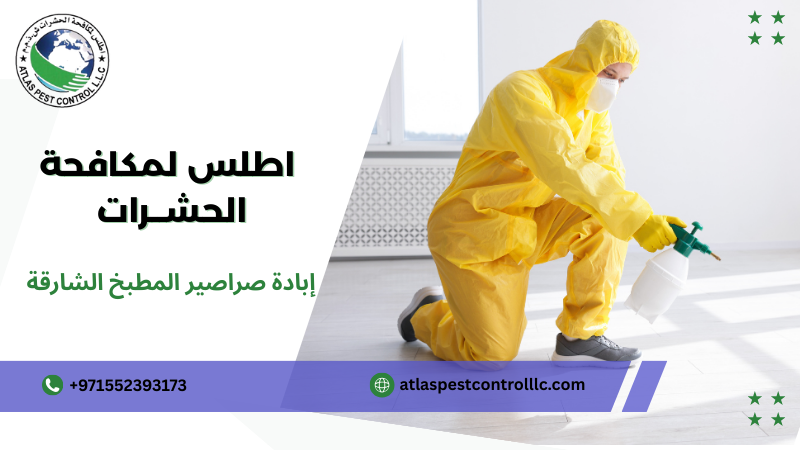 دليلك الشامل لإبادة صراصير المطبخ الشارقة