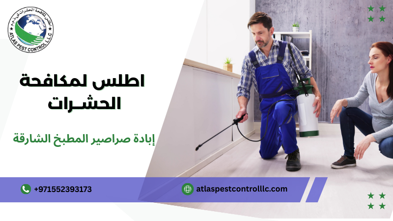 إبادة صراصير المطبخ الشارقة