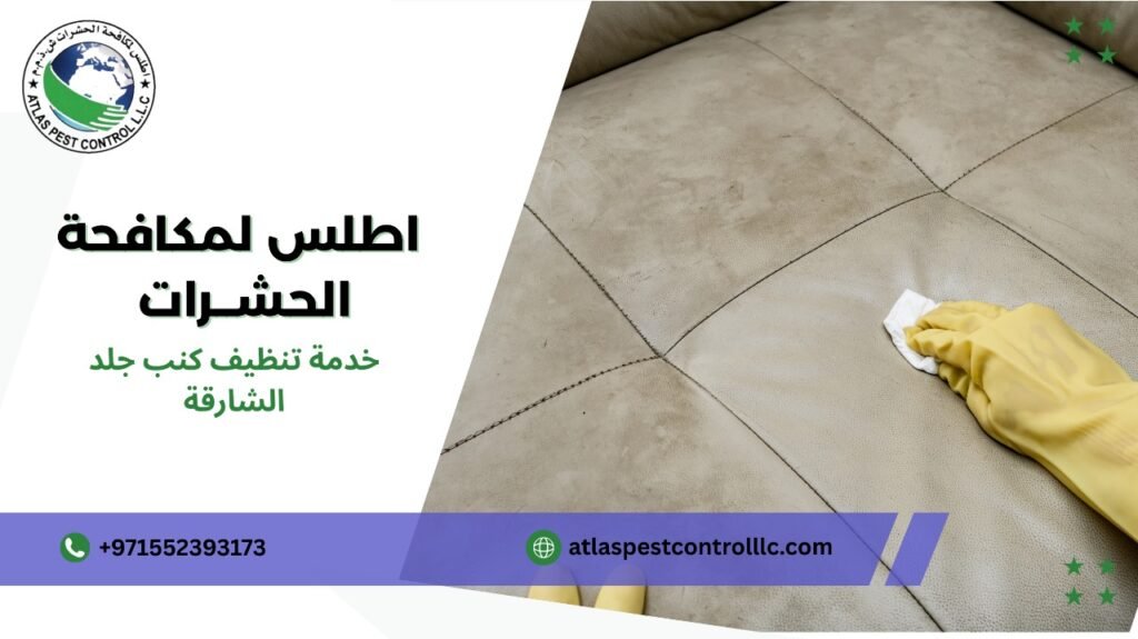 أفضل خدمات تنظيف كنب جلد الشارقة