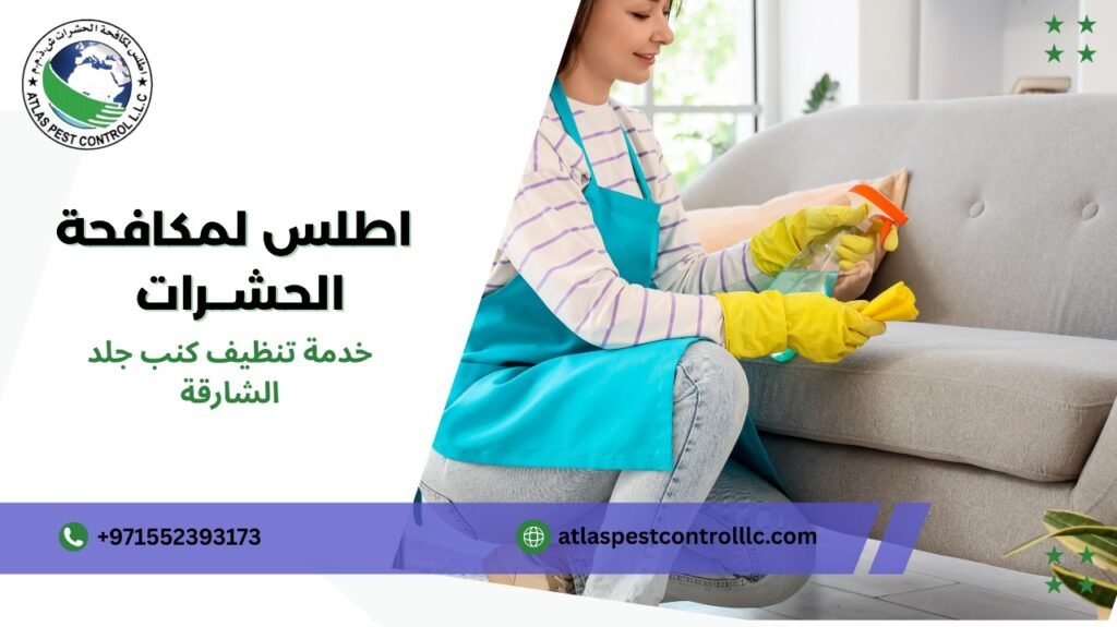 مزايا خدمة تنظيف كنب جلد الشارقة