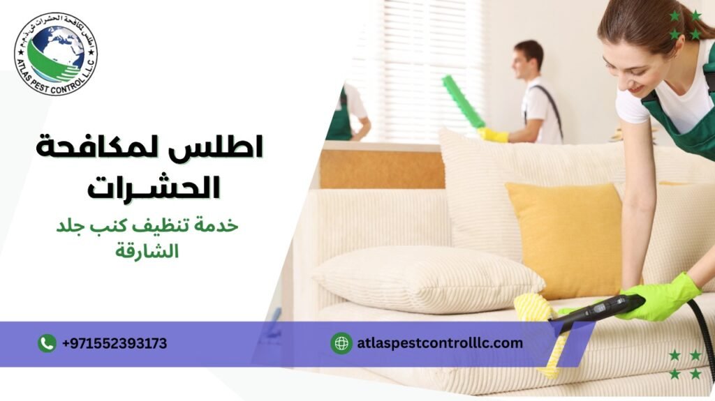 نصائح خدمة تنظيف كنب جلد الشارقة