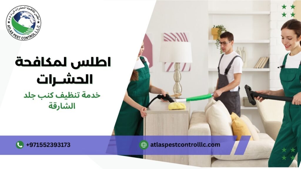 خطوات خدمة تنظيف كنب جلد الشارقة