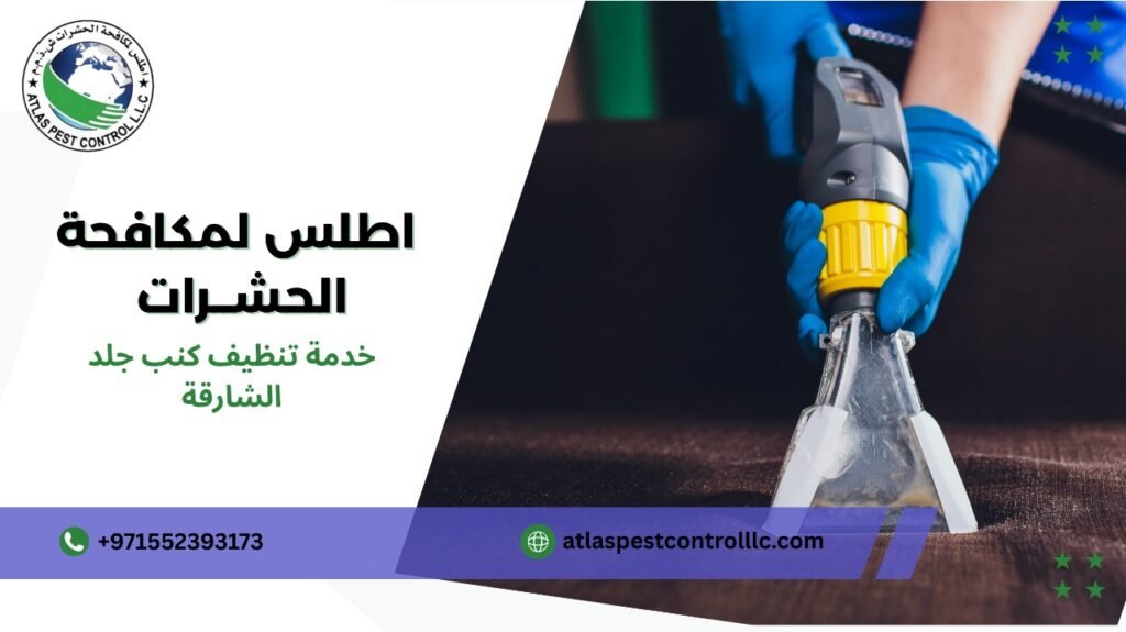 كيفية تجنب أخطاء خدمة تنظيف كنب جلد الشارقة