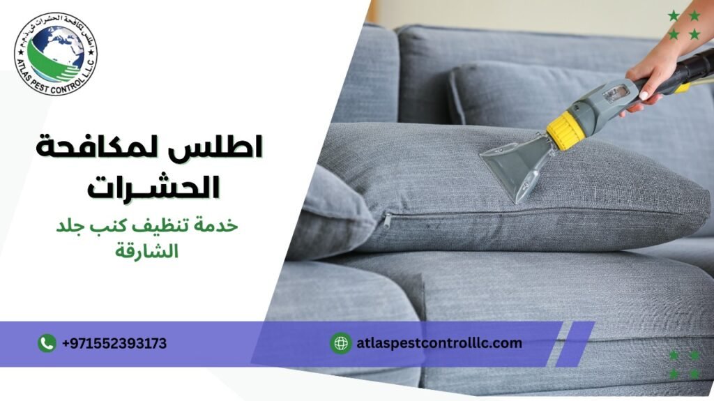 تنظيف كنب جلد الشارقة