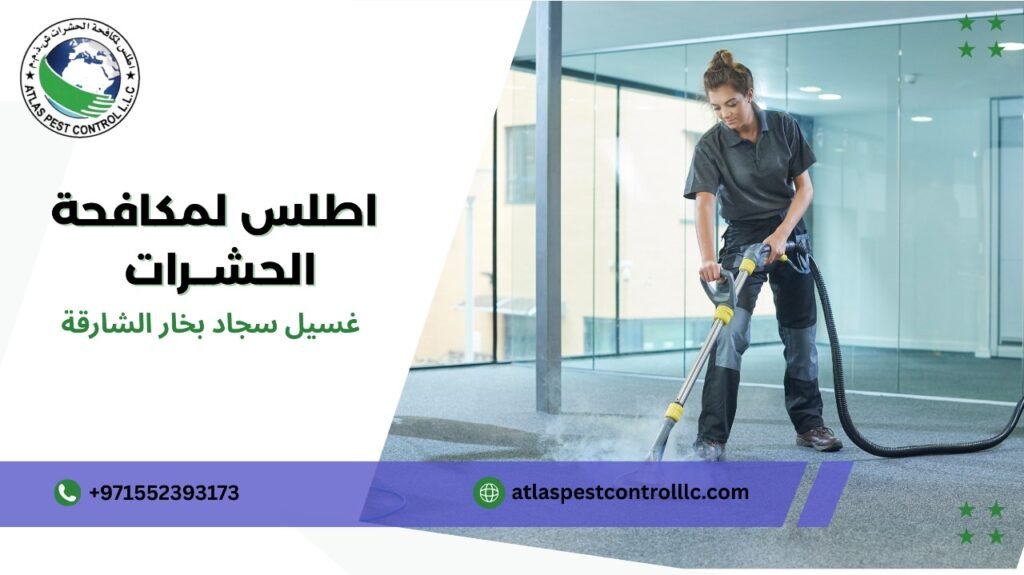 أهمية تنظيف السجاد بالبخار