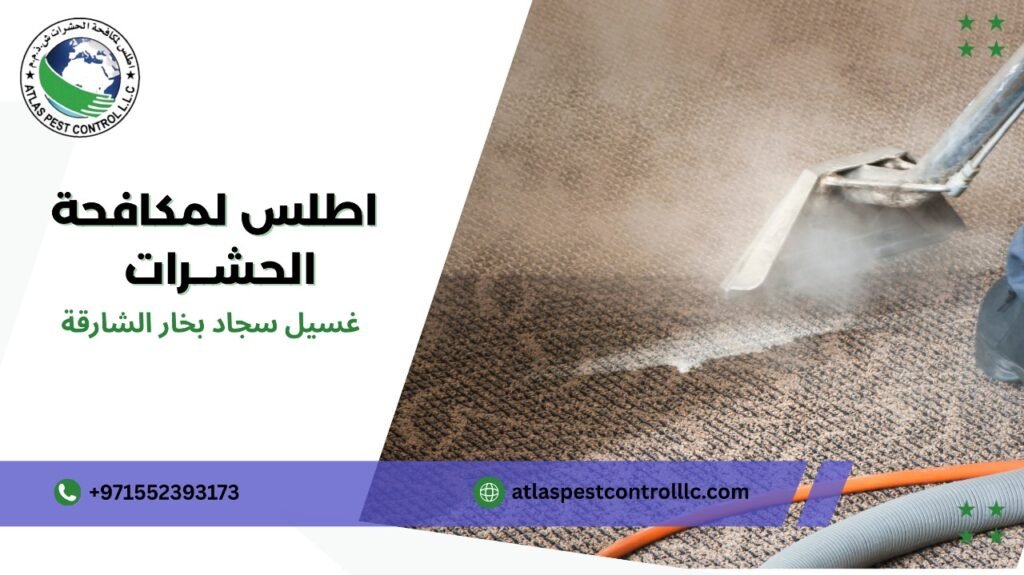 تنظيف السجاد من البقع الصعبة