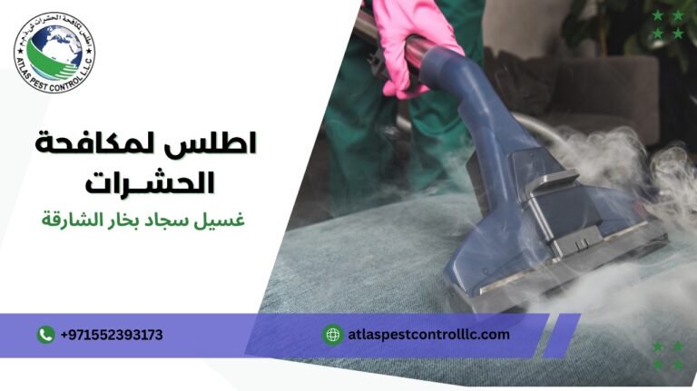 غسيل سجاد بخار الشارقة