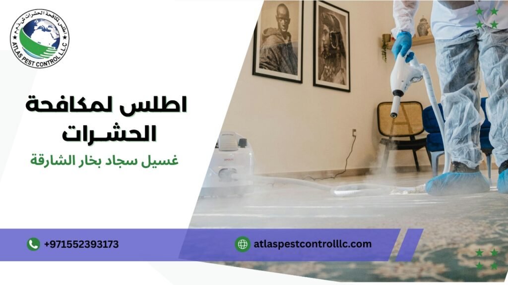 غسيل سجاد بخار الشارقة