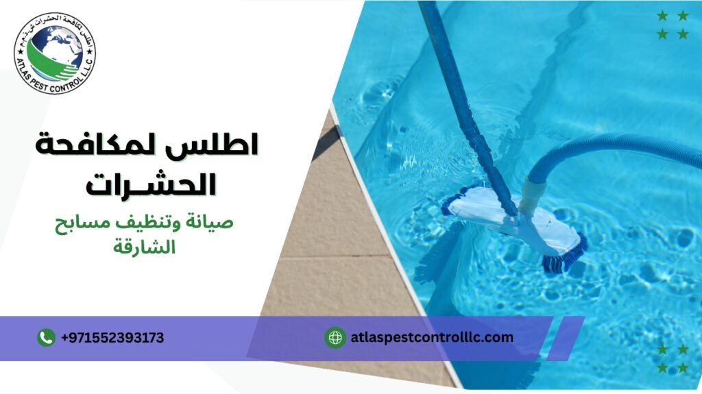 صيانة المسابح الدورية في الشارقة