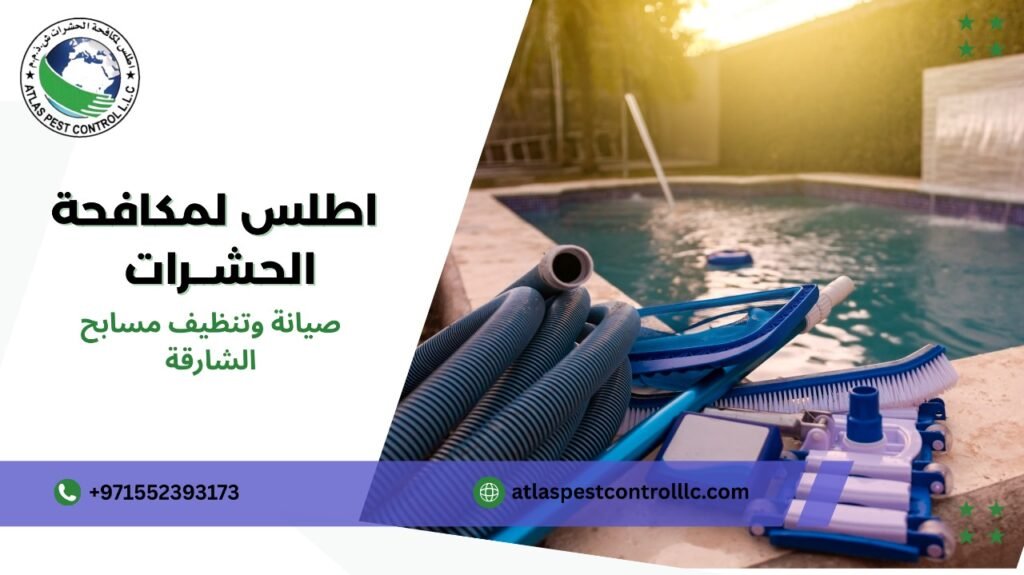 تلميع وتنعيم جدران المسبح