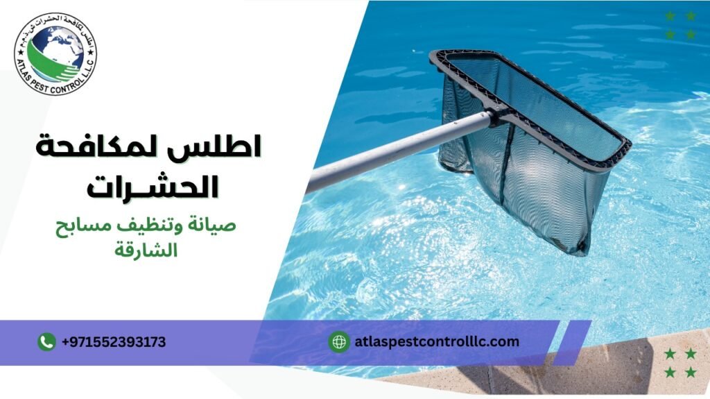 صيانة وتنظيف مسابح الشارقة