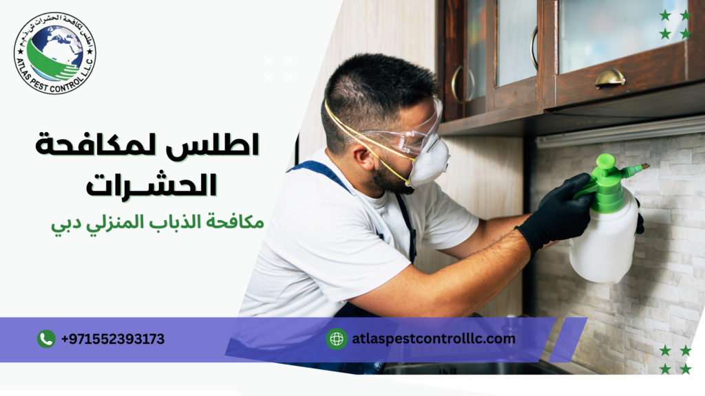 مكافحة الذباب المنزلي دبي