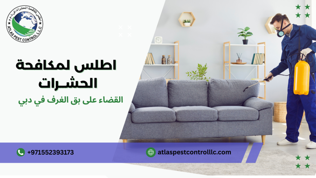 القضاء على بق الغرف في دبي