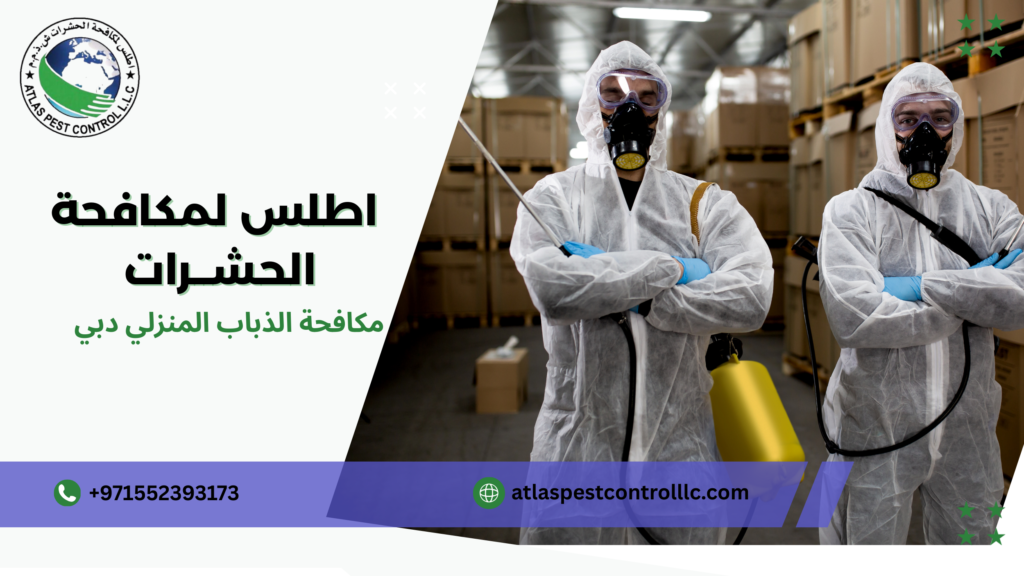 أنواع الذباب الأكثر شيوعًا في المنازل دبي