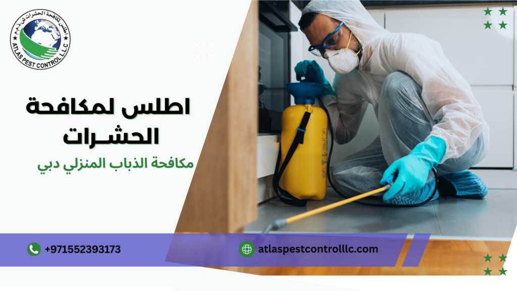 مخاطر الذباب على الصحة دبي