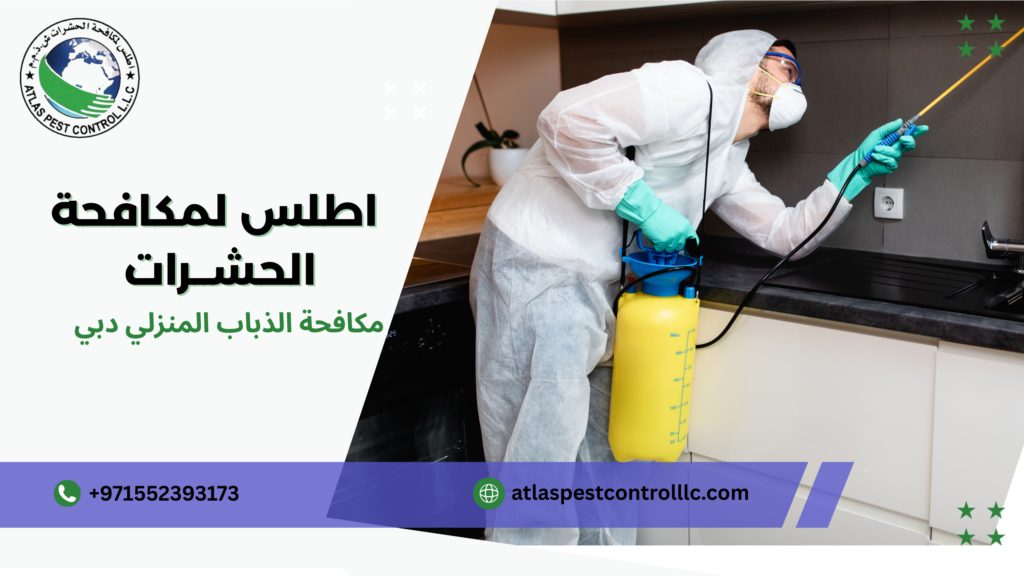 تنظيف المنزل كجزء من المكافحة دبي