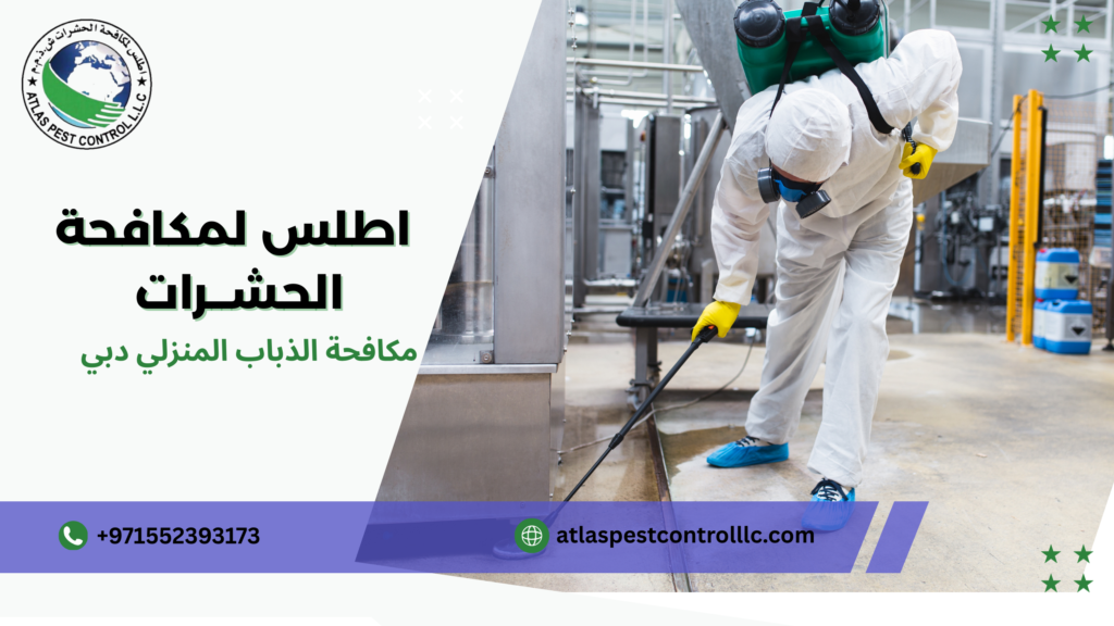مكافحة الذباب المنزلي دبي