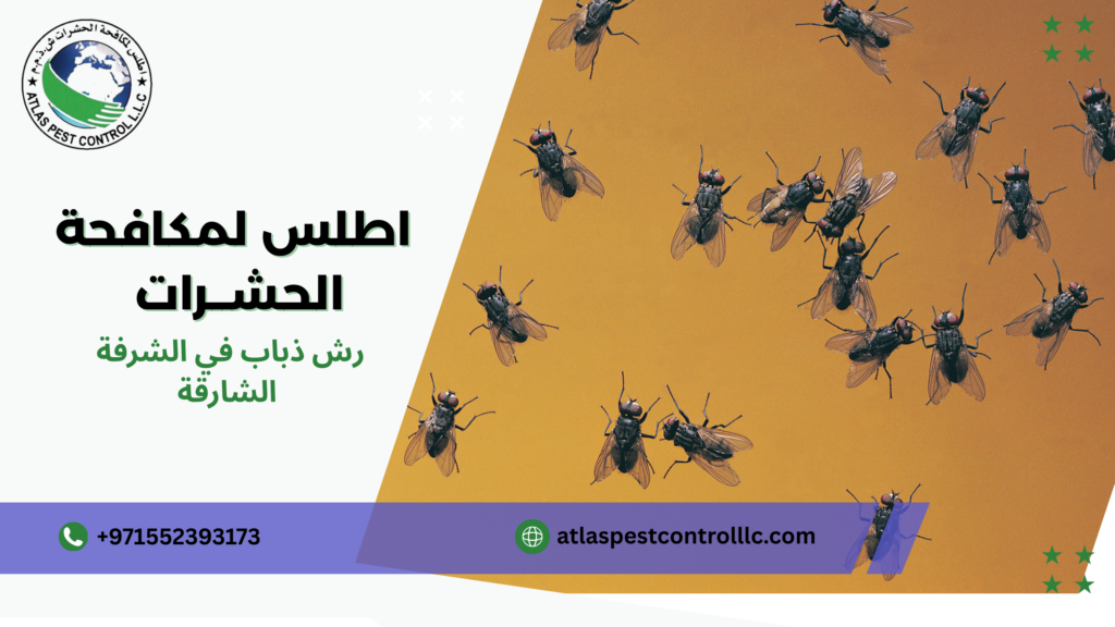 خطوات رش ذباب في الشرفة الشارقة
